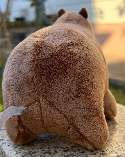Minkštas pliušinis žaislas Kapibara, 22 cm