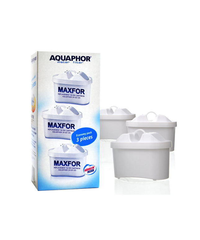 Vandens filtras Aquaphor Maxfor B100-25