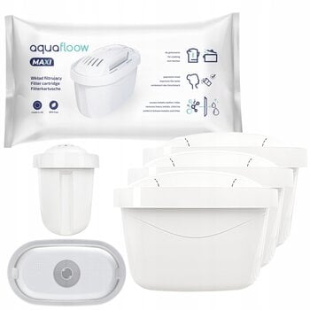Vandens filtrai Aquafloow Maxi, 3 vnt