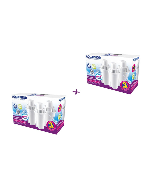 Vandens filtrai Aquaphor B100-15 Standard, 3x2 vnt