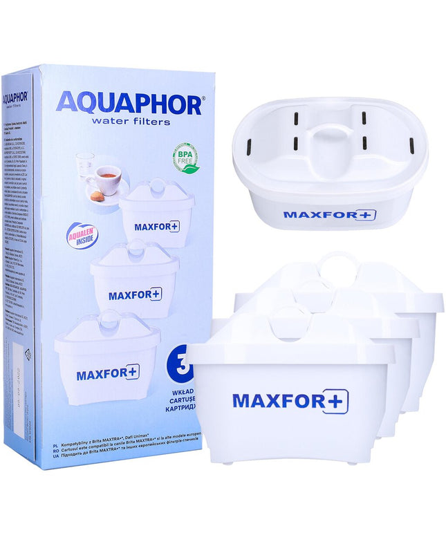 Vandens filtrai Aquaphor B25 Maxfor, 3 vnt