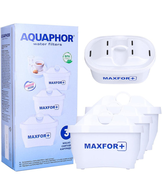 Vandens filtrai Aquaphor B25 Maxfor, 3 vnt
