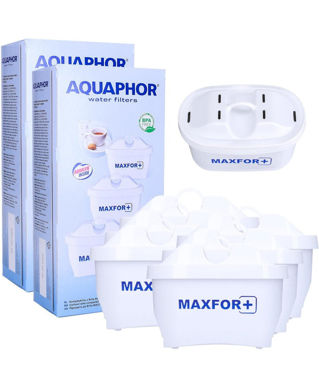 Vandens filtrai Aquaphor B25 Maxfor, 6 vnt