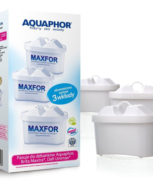 Vandens filtrai Aquaphor B100-25 Maxfor, 3 vnt