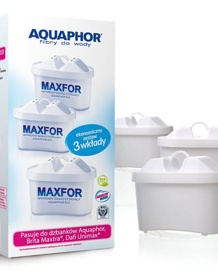 Vandens filtrai Aquaphor B100-25 Maxfor, 3 vnt