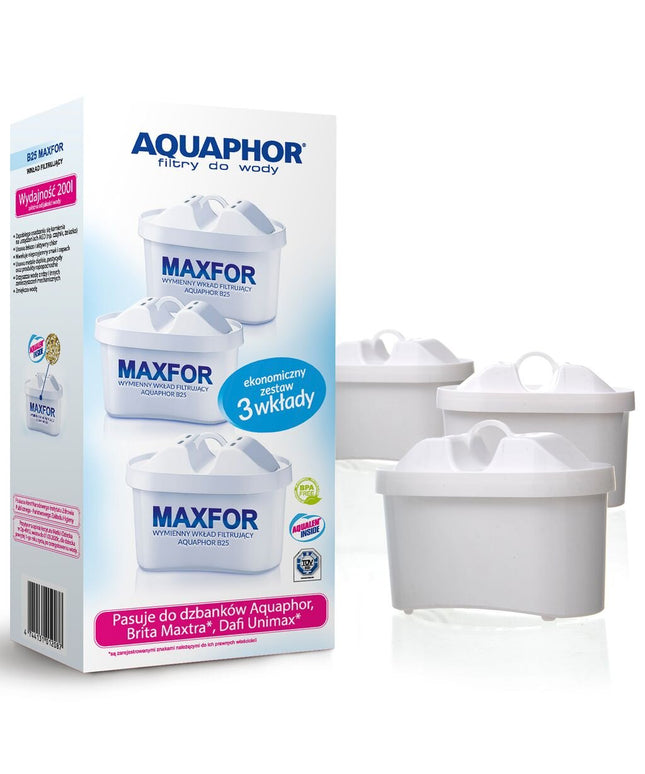 Vandens filtrai Aquaphor B100-25 Maxfor, 3 vnt