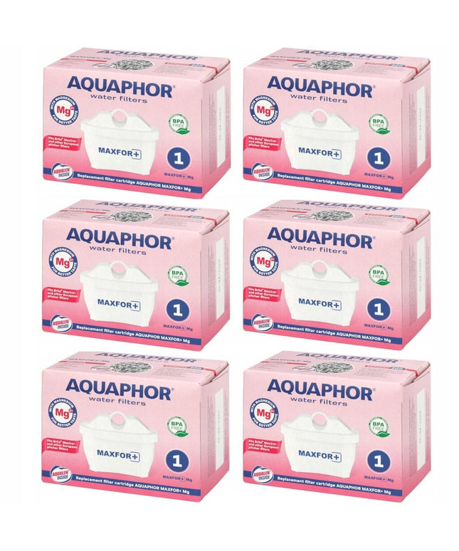 Vandens filtrai Aquaphor Maxfor Mg, 6 vnt