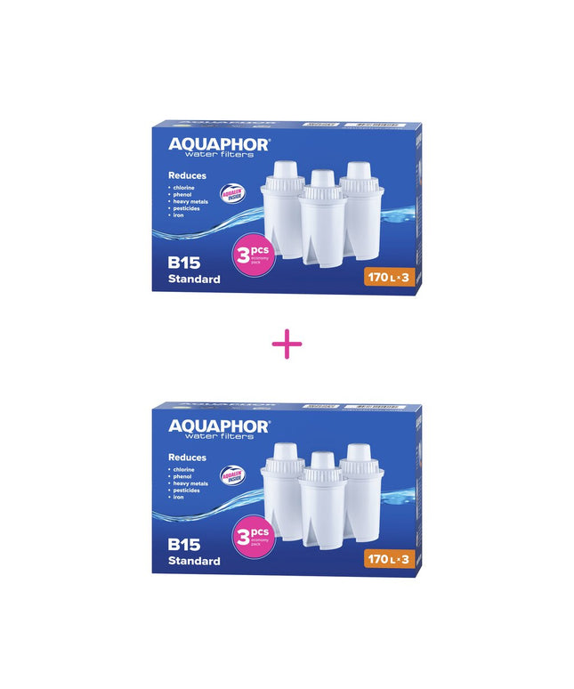 Vandens filtrai Aquaphor B100-15 B15, 3x3 vnt