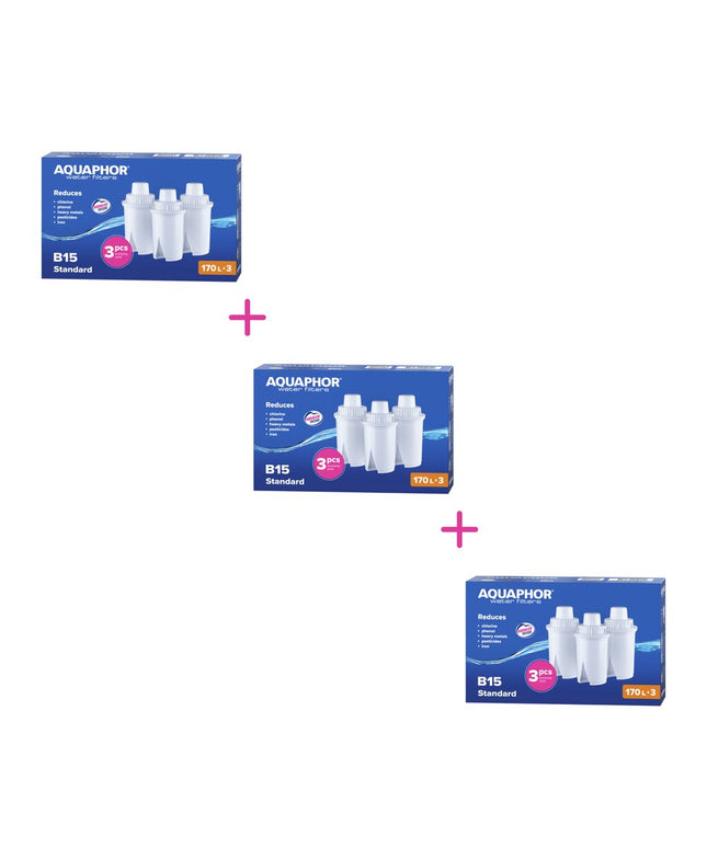Vandens filtrai Aquaphor B100-15, 3x3 vnt