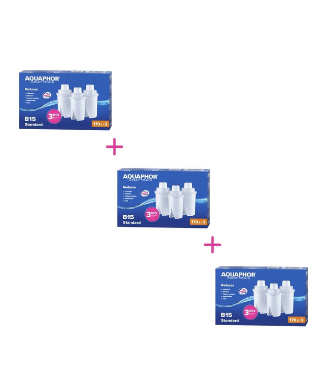 Vandens filtrai Aquaphor B100-15, 3x3 vnt