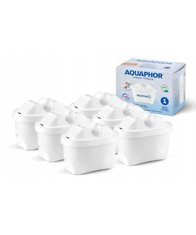 Vandens filtrai Aquaphor B100-25 Maxfor, 5+1 vnt