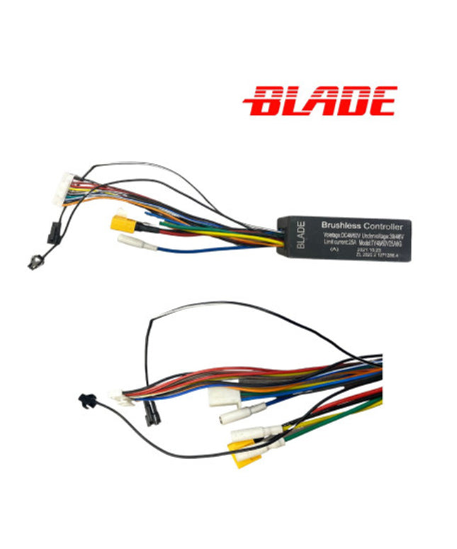 BLADE X SINGLE Valdiklis 48V 25A DAMAO