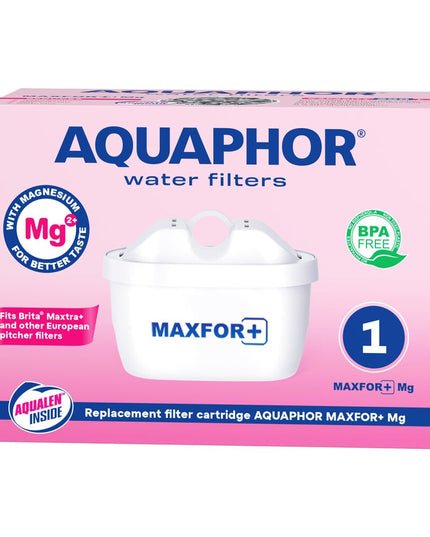 Vandens filtras Aquaphor B100-25 Maxfor MG+, 1 vnt