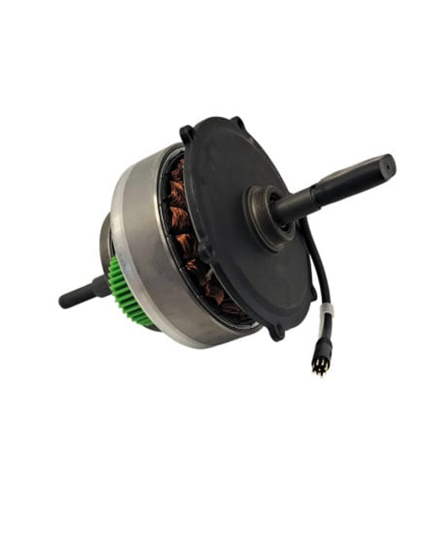 Elektrinio dviračio ENGWE EP-2 PRO variklis 750W