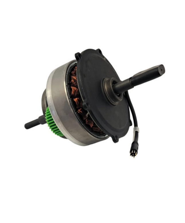 Elektrinio dviračio ENGWE EP-2 PRO variklis 750W