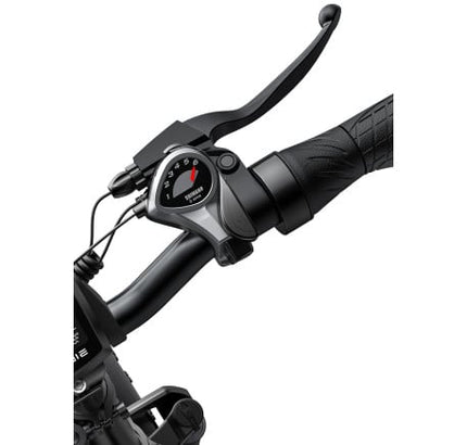 ENGWE EP-2 PRO elektrinis dviratis (20"), ruda