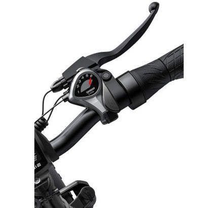 ENGWE EP-2 PRO elektrinis dviratis (20"), juoda