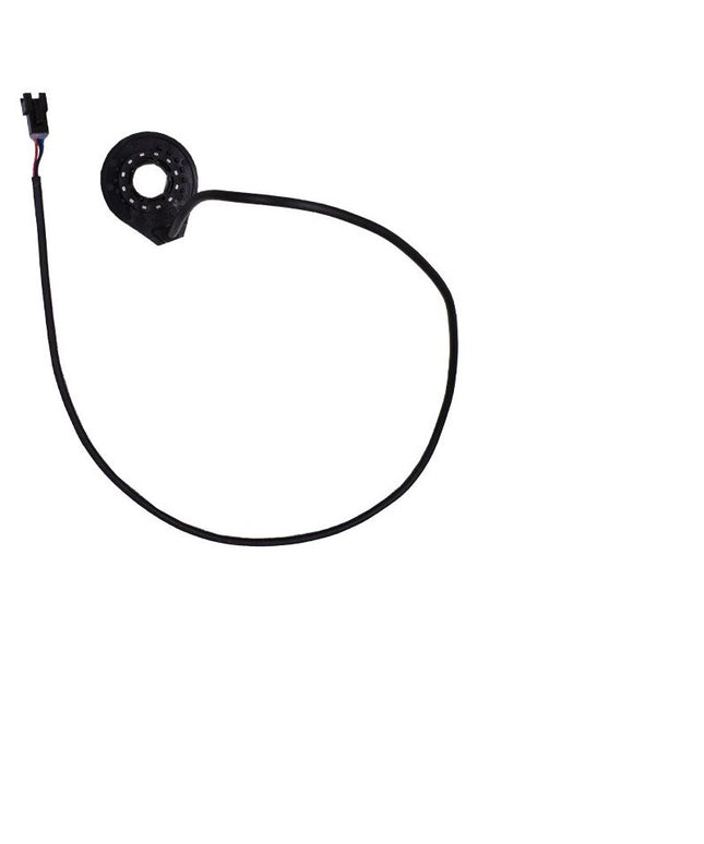 Engwe EP-2 PRO/M20 PAS sensorius