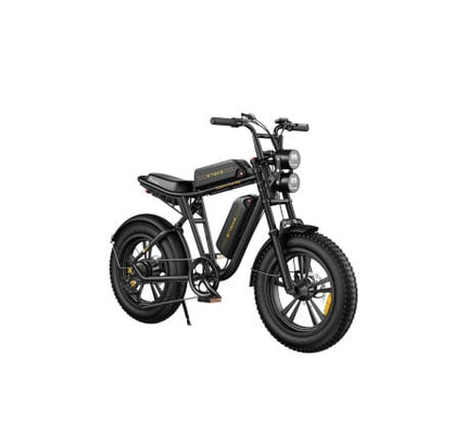 ENGWE M20 elektrinis dviratis (20"), žalia, 13Ah + 13Ah