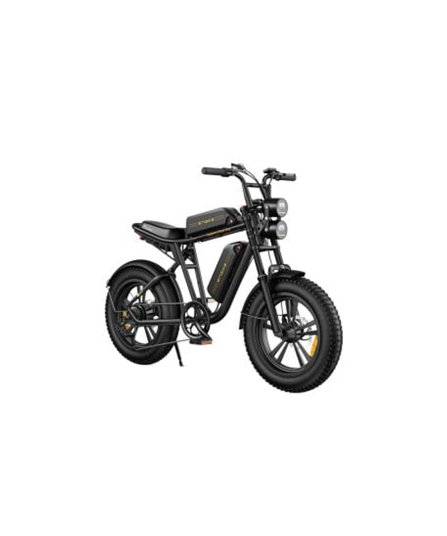 ENGWE M20 elektrinis dviratis (20"), žalia, 13Ah + 13Ah