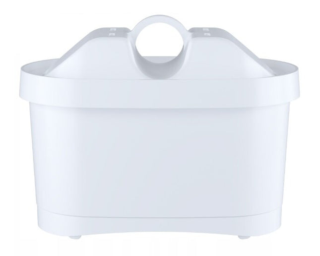 Vandens filtrai Aquaphor B100-25, 6 vnt