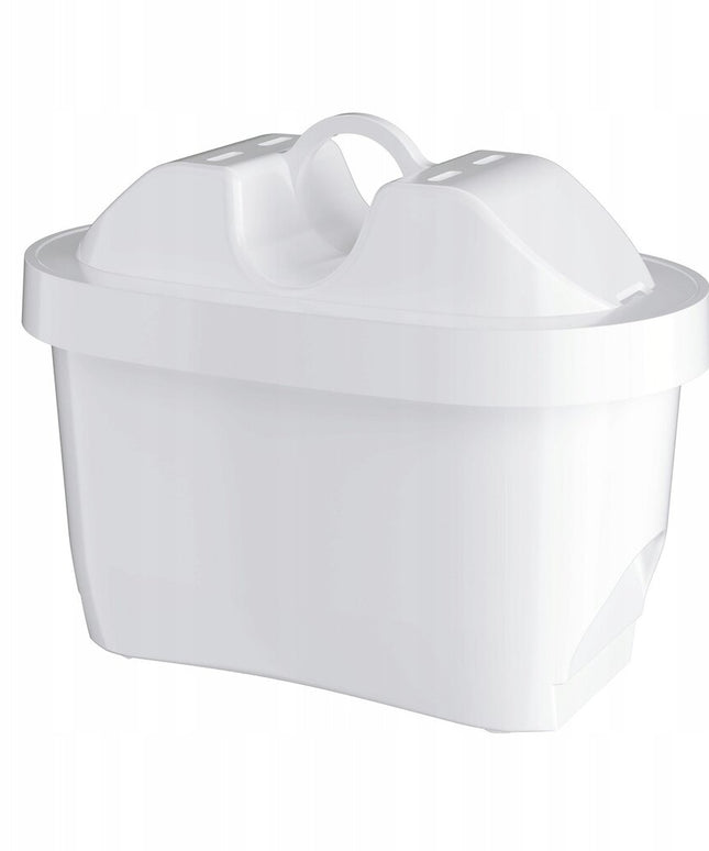 Vandens filtrai Aquaphor B100-25, 6 vnt