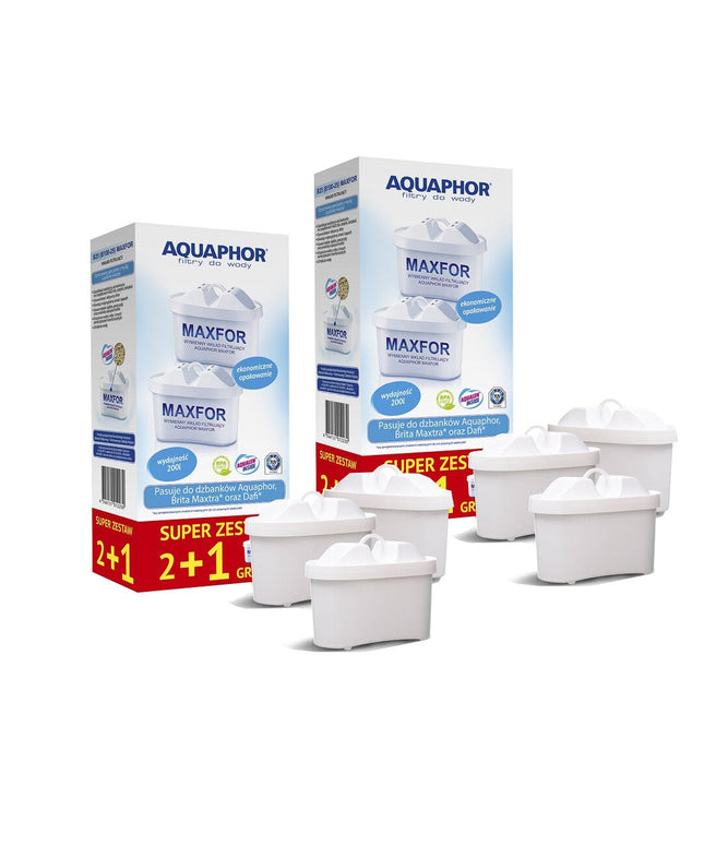 Vandens filtrai Aquaphor B100-25, 6 vnt