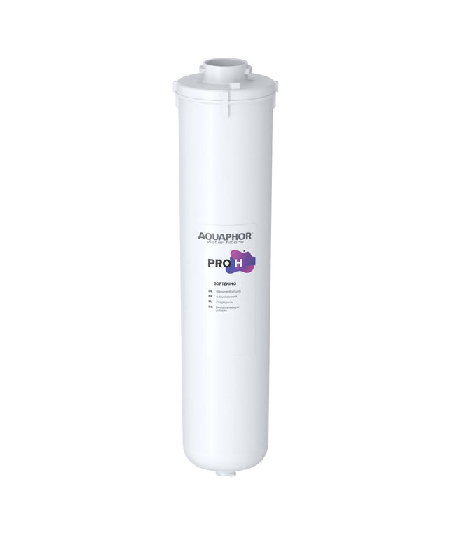 Vandens filtras Aquaphor Pro H, 1 vnt