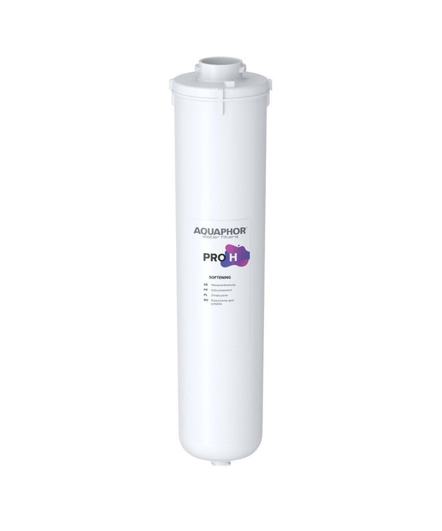 Vandens filtras Aquaphor Pro H, 1 vnt