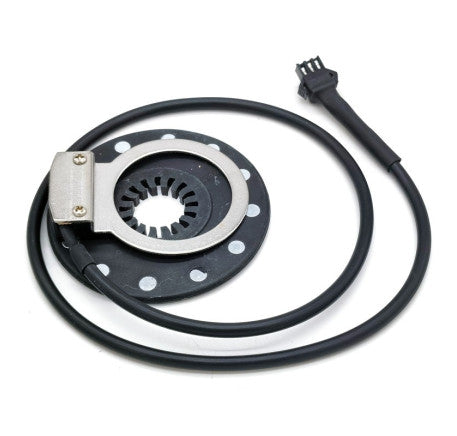 PAS sensorius QS-PD12
