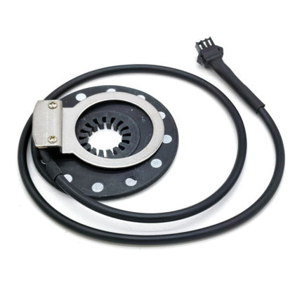 PAS sensorius QS-PD12