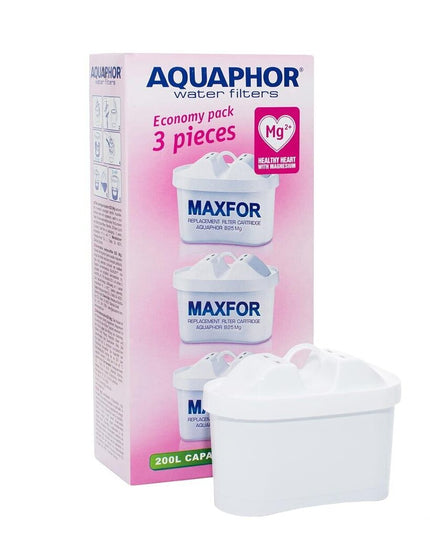 Vandens filtrai Aquaphor B100-25 Maxfor Mg, 3 vnt