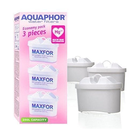 Vandens filtrai Aquaphor B100-25 Maxfor Mg, 3 vnt