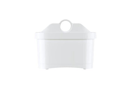 Vandens filtrai Aquaphor B100-25 Maxfor Mg, 3 vnt