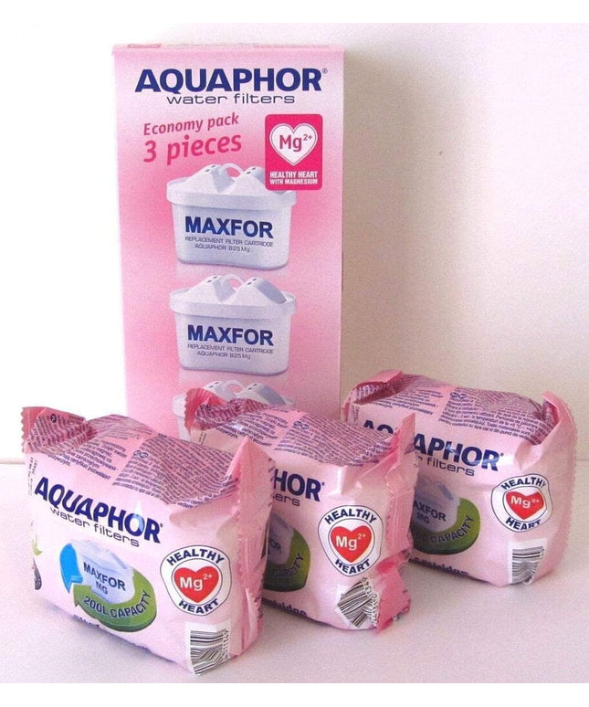 Vandens filtrai Aquaphor B100-25 Maxfor Mg, 3 vnt